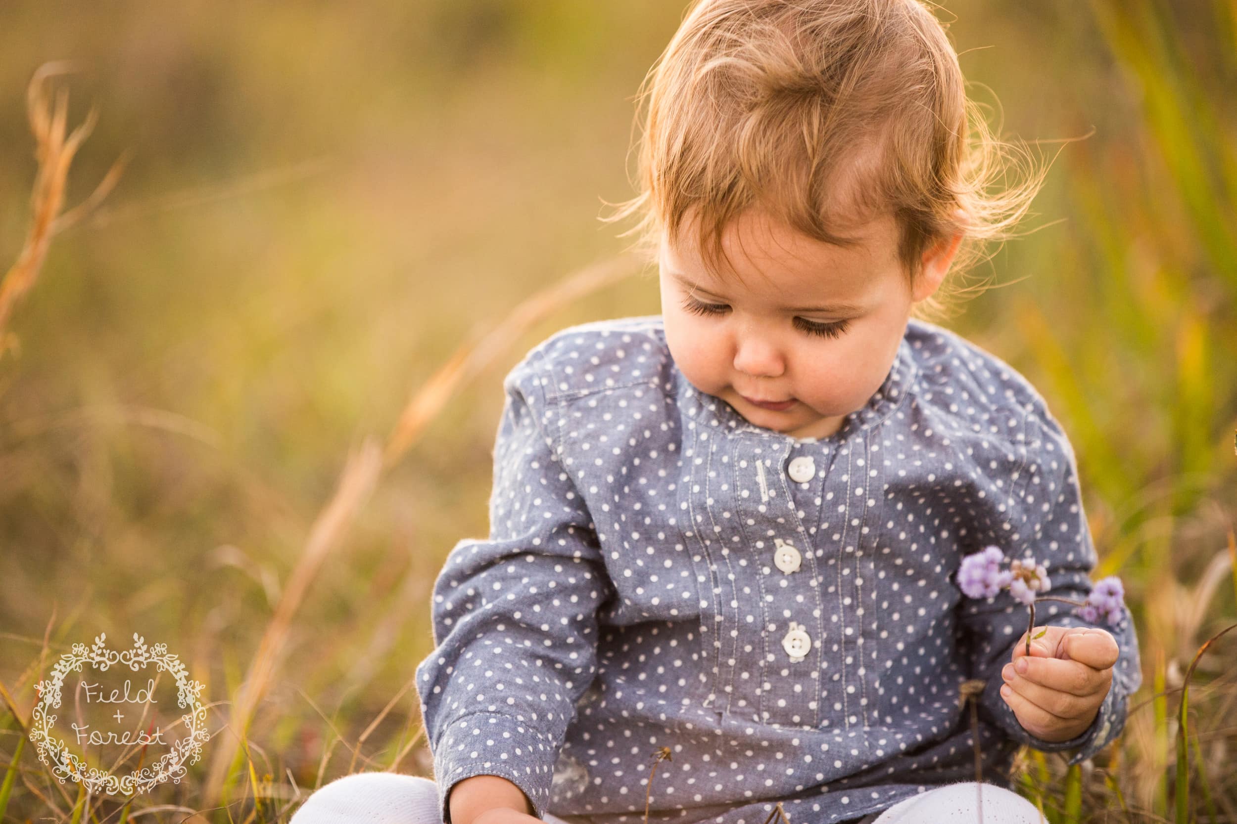 sunshine coast family portraits - field + forest photography