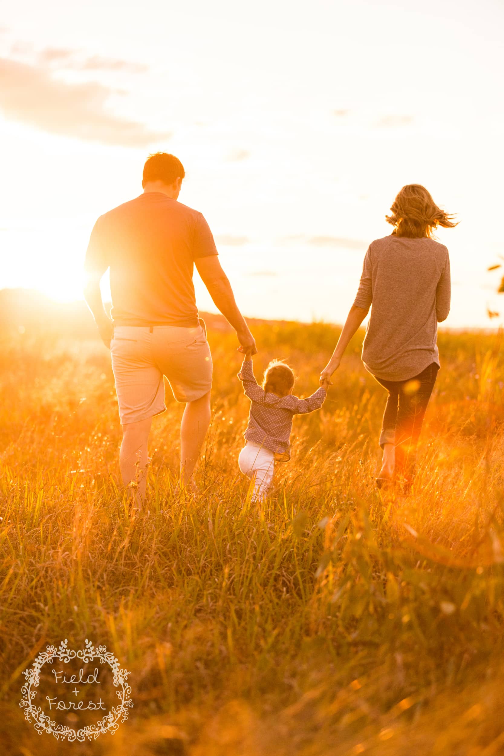 sunshine coast family portraits - field + forest photography