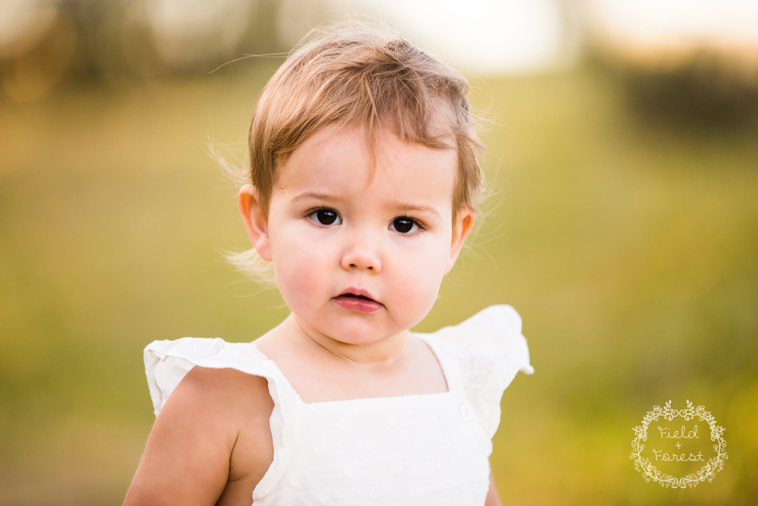 sunshine coast family portraits - field + forest photography